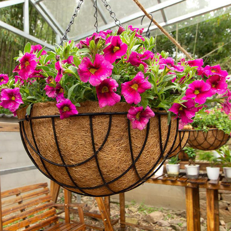 001-YZ01 12-inch Hanging Flower Pot Basket with Coir Liner Garden Decor (Semi-circular Mesh Shape) 001-YZ01 12-inch Hanging Flower Pot Basket with Coir Liner Garden Decor (Semi-circular Mesh Shape)